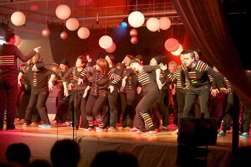 La Cécilia de Seloncourt — spectacle musical Tombés du ciel
