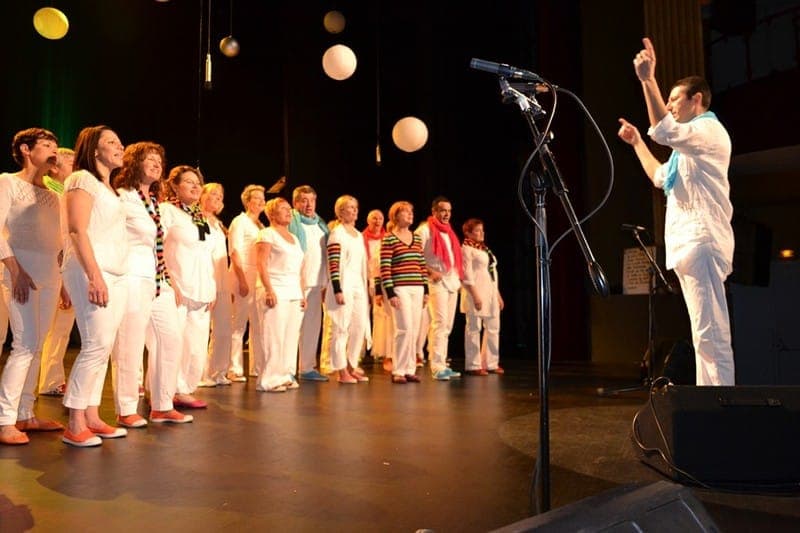 Musicien en costume de spectacle musical