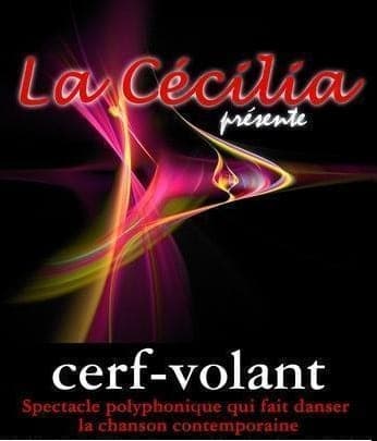 Affiche spectacle Cerf-volant design vibrant moderne