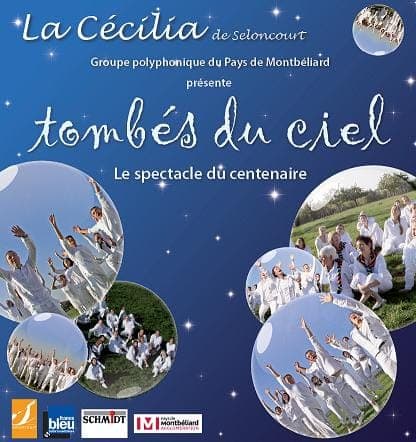 Affiche Tombés du ciel centenaire Cécilia bleu